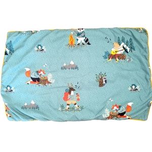Set of 2 Simons Home teal pillow shams for kids
